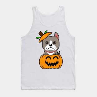 Funny grey dog is in a pumpkin Tank Top